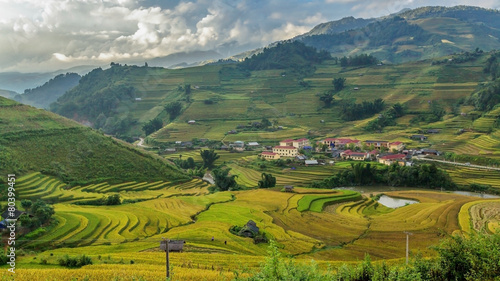 Rice fields on terraced of Mu Cang Chai, YenBai, Vietnam.