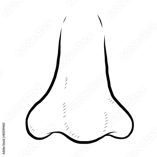 nose