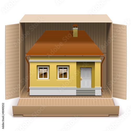 Vector House in Carton Box