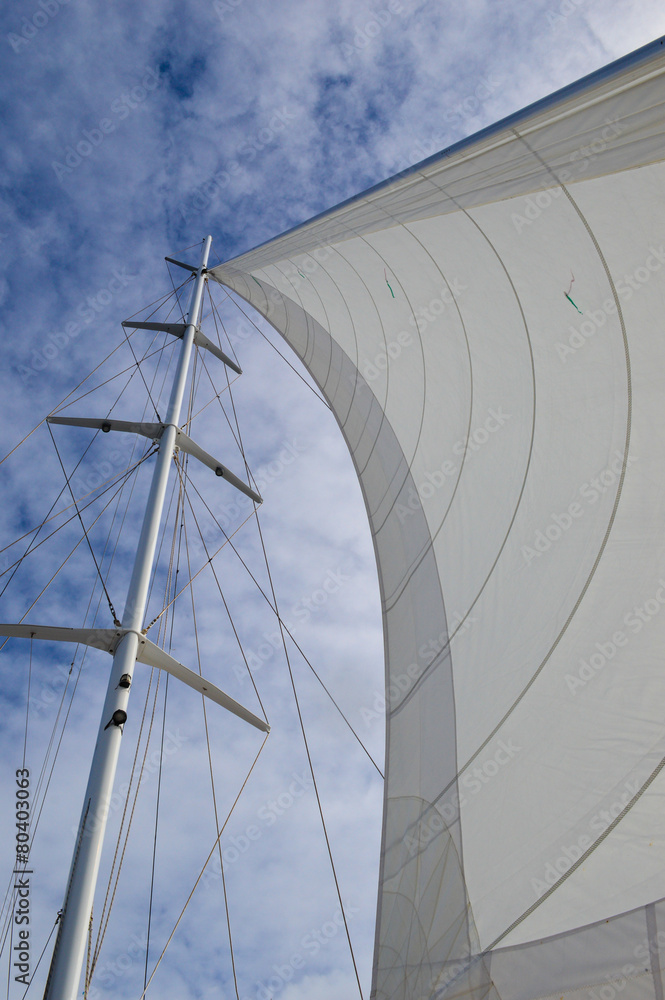 Fototapeta premium main sail in the wind