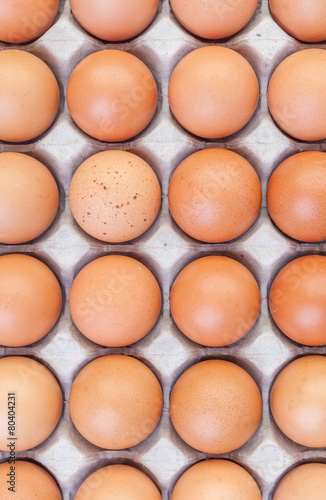 Brown eggs in cardboard on white background.
