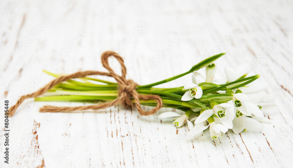 snowdrops bunch on wooden background