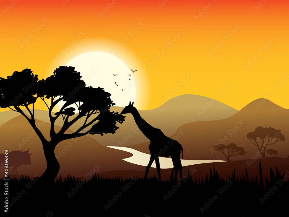African Landscape Poster