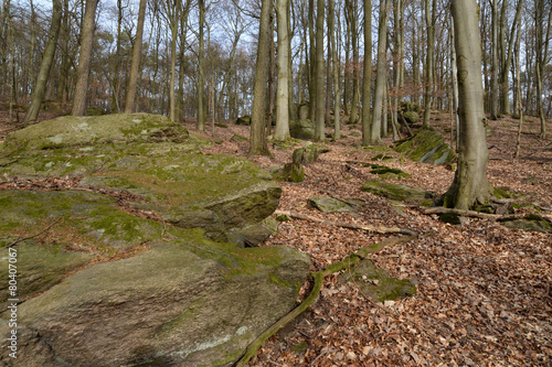 Felsen bei Böllstein photo