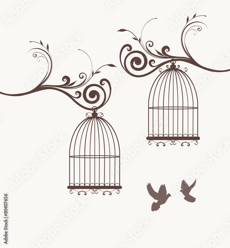 Bird Cages