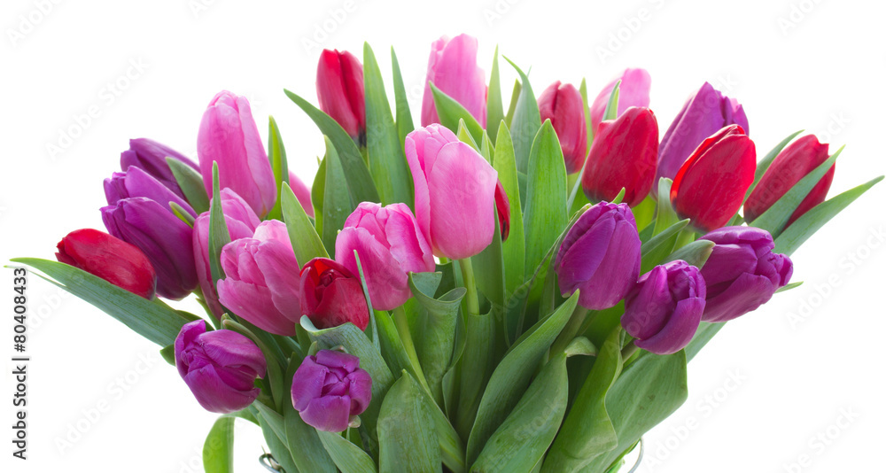 Fototapeta premium bouquet of red and purple tulip flowers