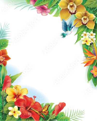 Background from tropical flowers and leaves