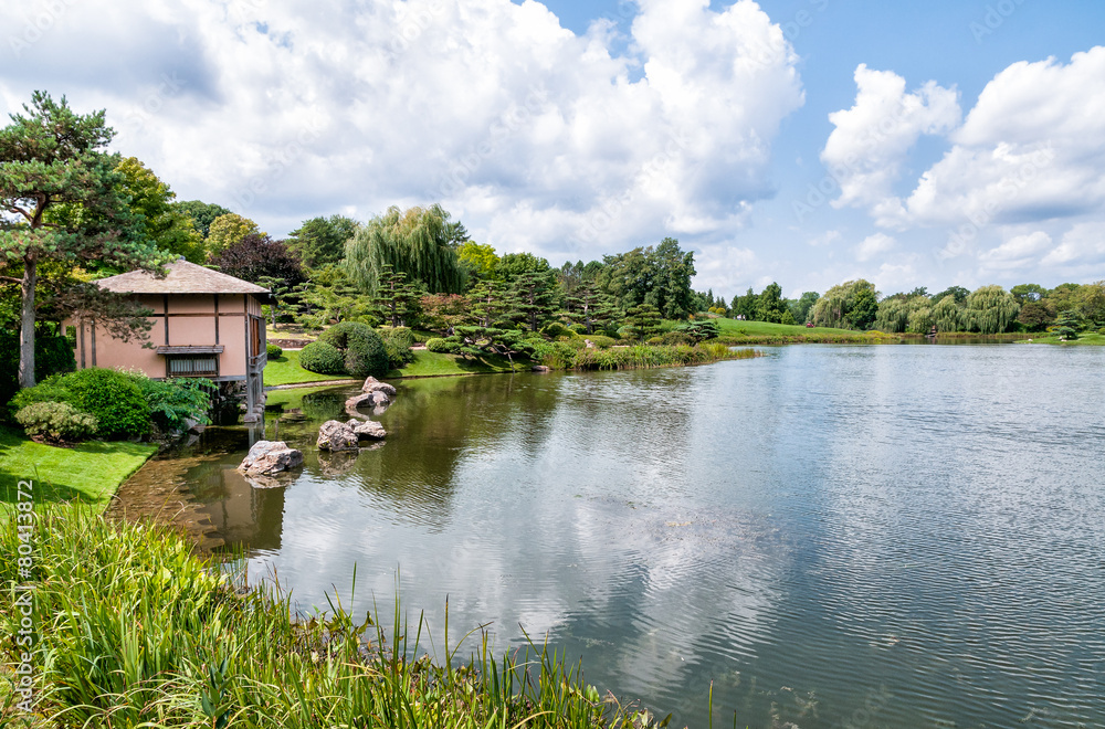 Fototapeta premium Japanese Garden area of Chicago Botanic Garden