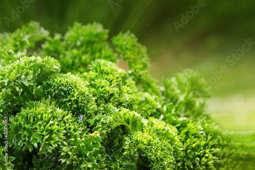 Green parsley isolated.