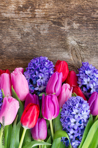 Fototapeta Naklejka Na Ścianę i Meble -  blue hyacinth and  tulips