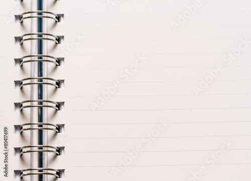 Wallpaper Mural Notebook with Torontodigital.ca