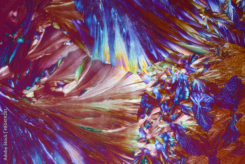Fototapeta premium Micro Crystals in polarized Light