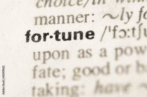 Dictionary definition of word fortune