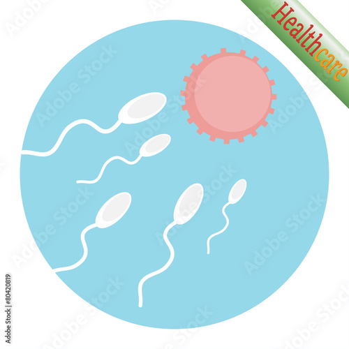Sperm and egg cell