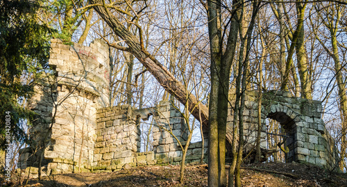 Ruins of the old castle in Striysky Park in Lviv