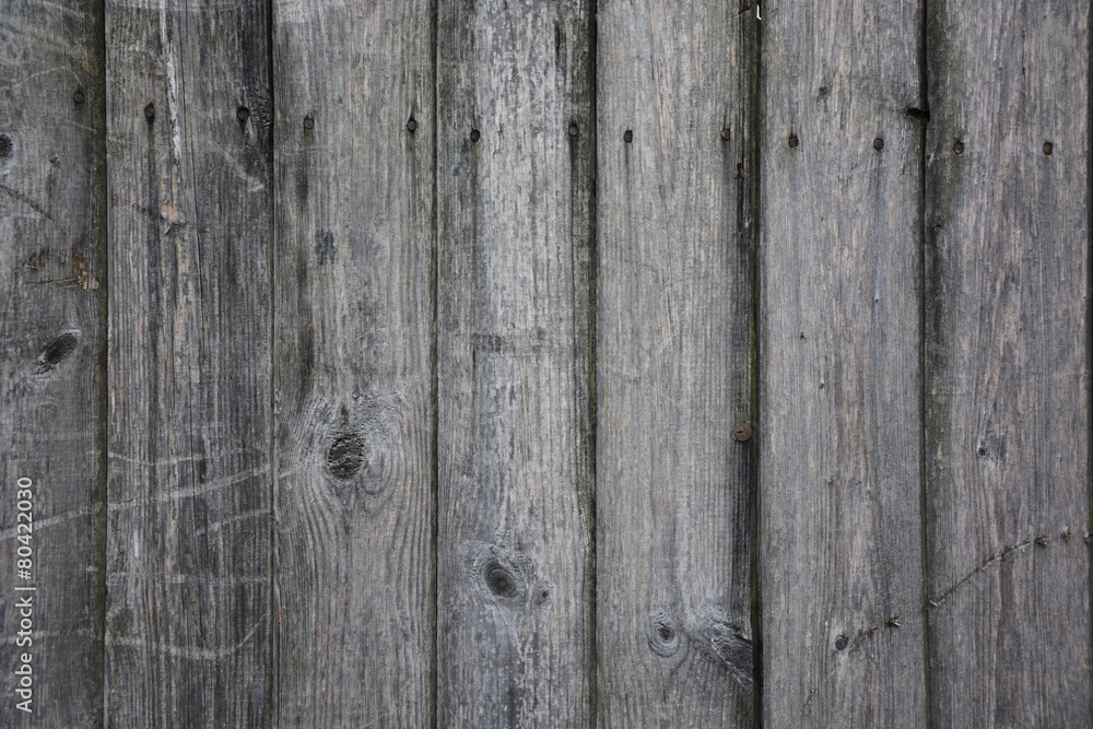 Naklejka premium Grey wood. Picture can be used as a background