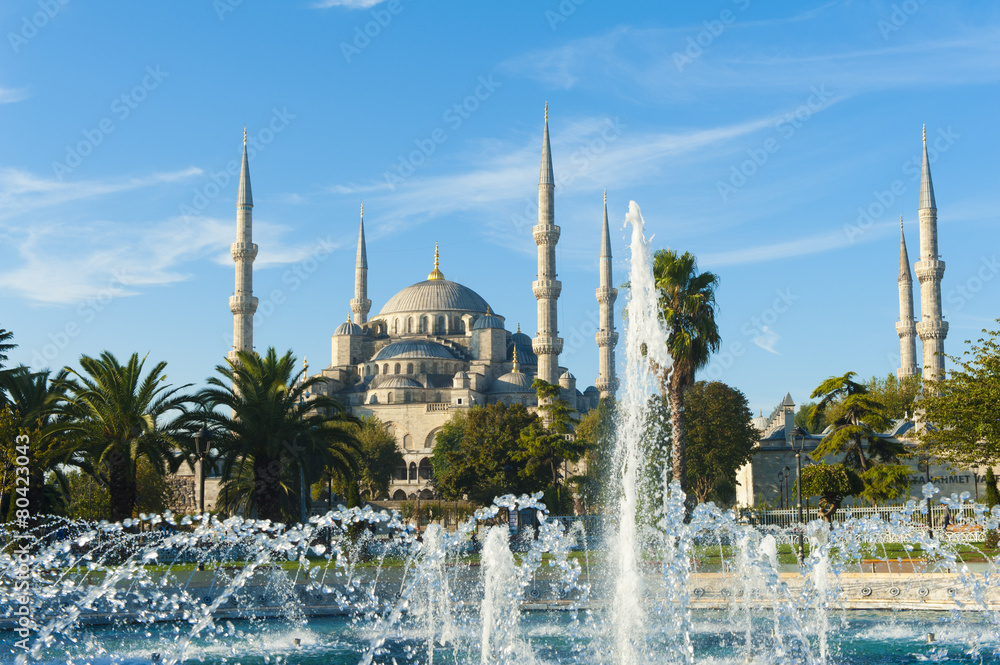 Naklejka premium Blue Mosque