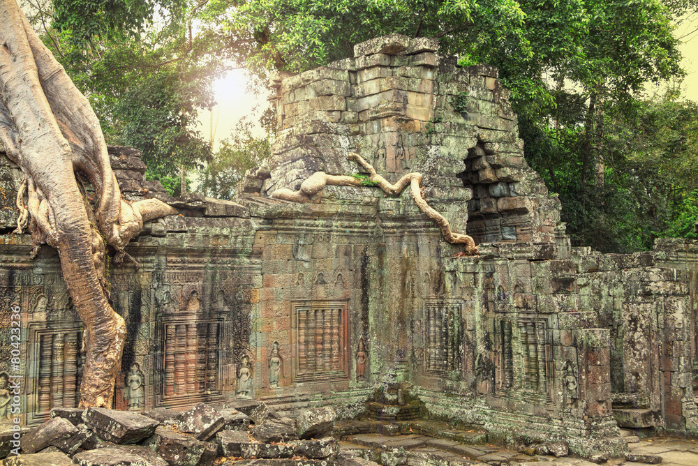 Ruins of ancient temple with a tree growing straight from the to