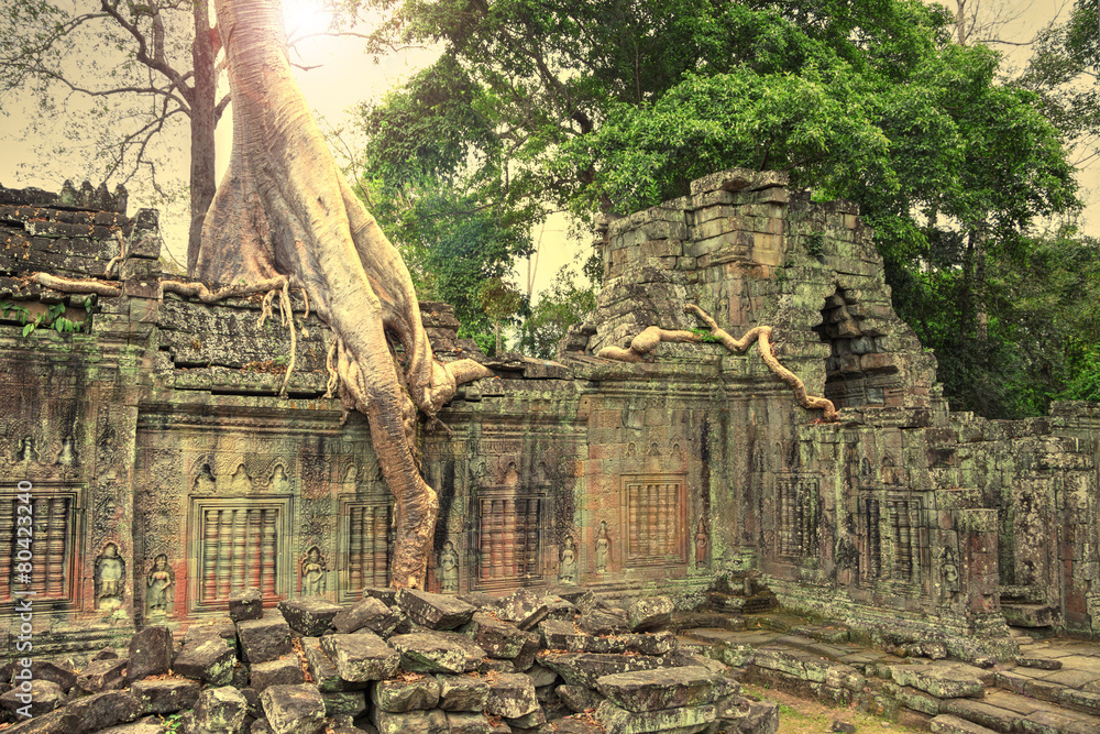 Ruins Of Ancient Temple Lost In Jungle With A Tree Growing Strai Stock Photo Adobe Stock