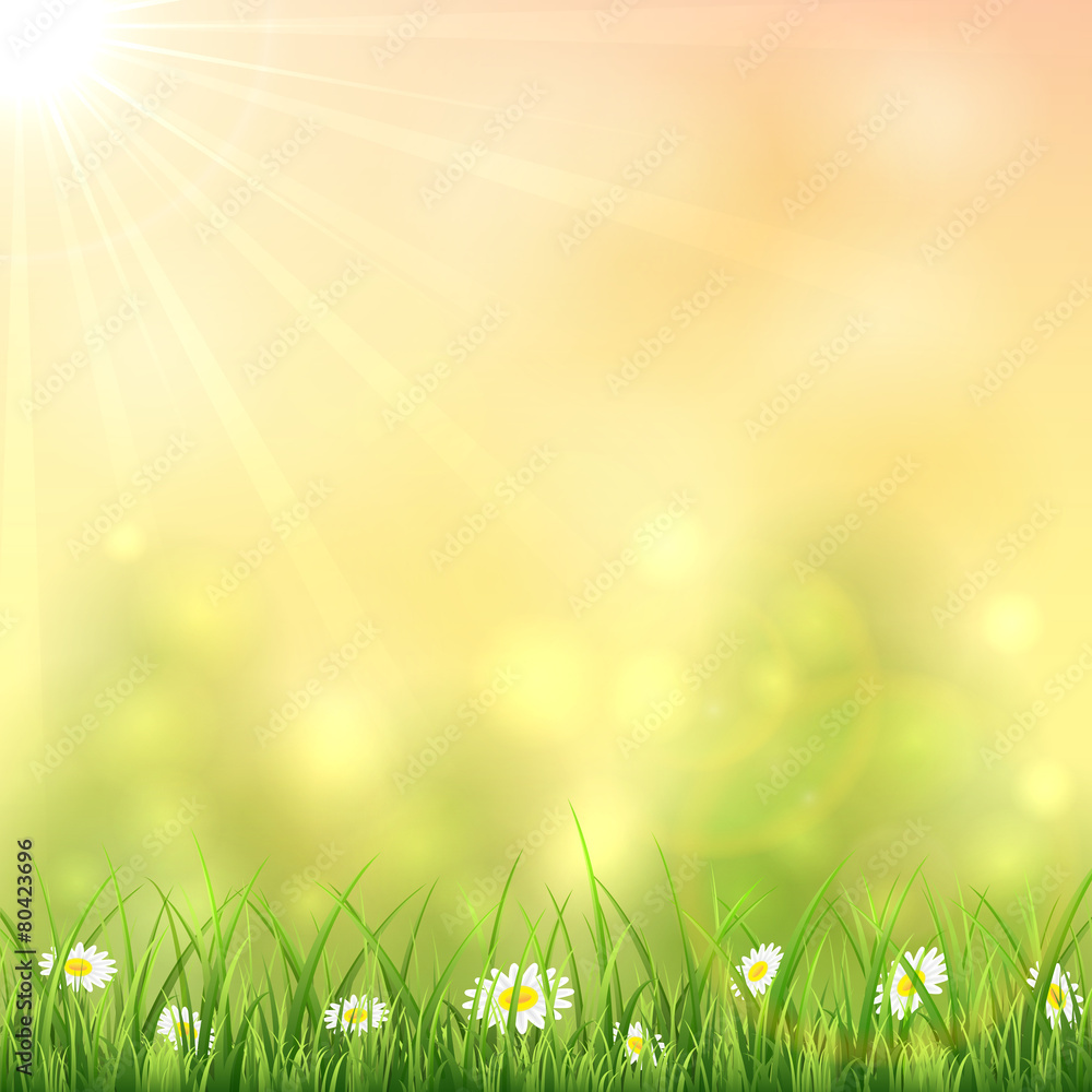 Nature background with flower