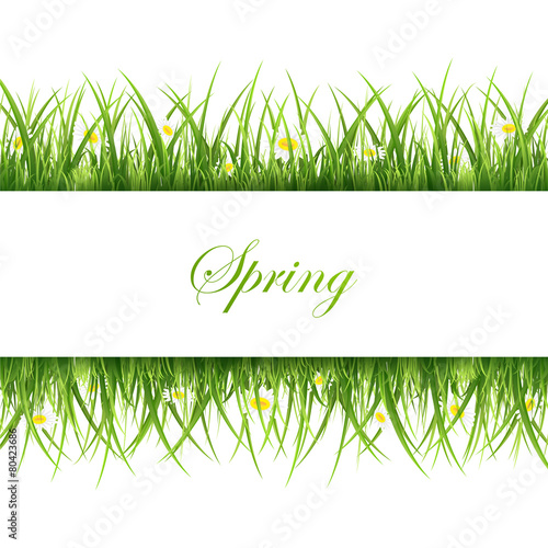 Grass banner