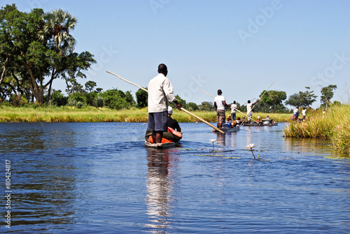 Okavango Delta  Mokoro trip on the river  Botswana Africa