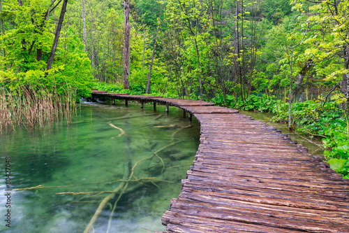 Boardwalk in the park Plitvice lakes