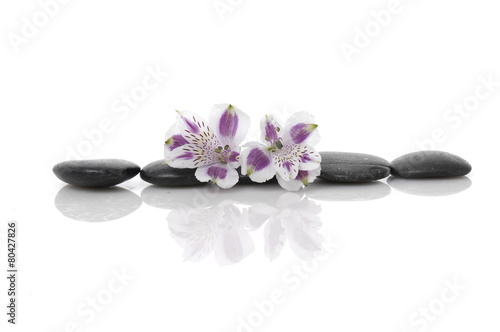 Spa concept with beautiful and black stone 