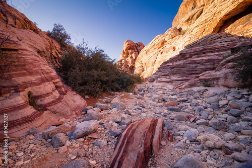 Hiking In Red Rock Canyon