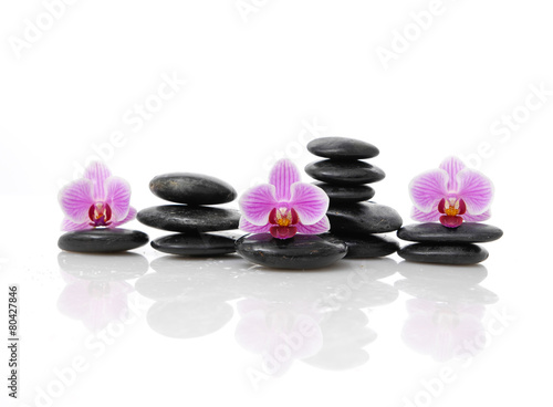 Set of beautiful orchid on black stacked stones