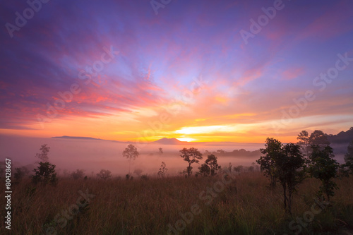 misty morning sunrise in mountain at Thung Salang Luang National