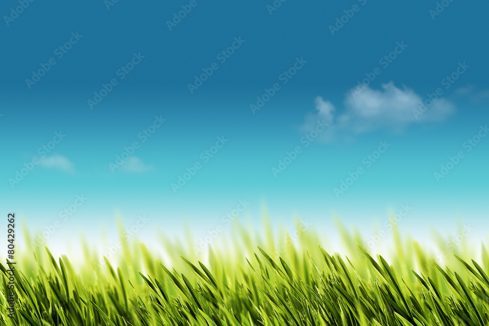 Natural backgrounds with green foliage under bright summer sun