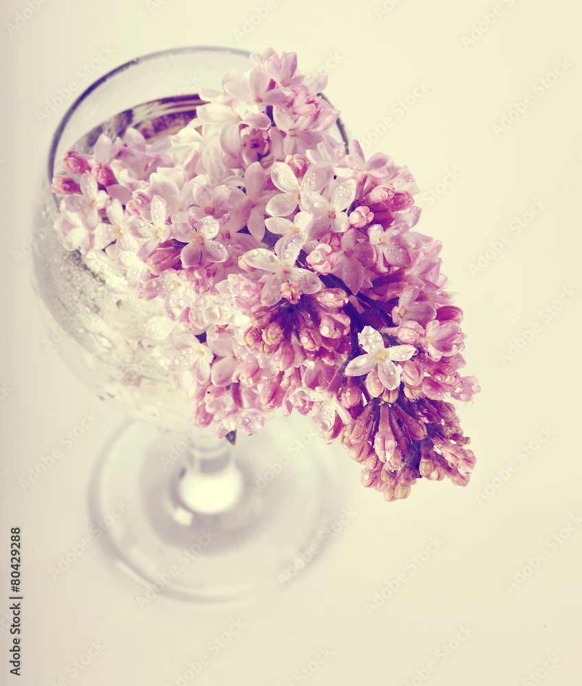 Obraz premium Lilac branch in a glass.
