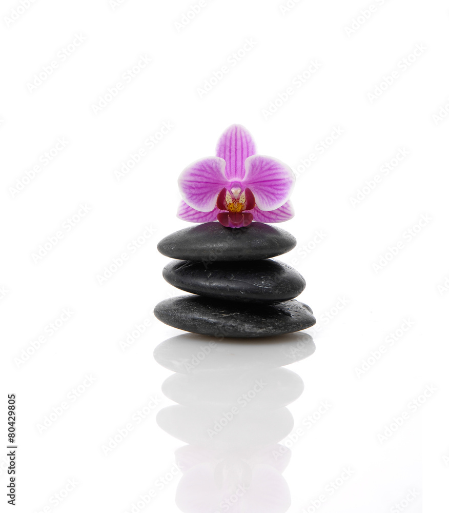 Violet pink orchid on black stones reflection Violet pink orchid on black stones reflection