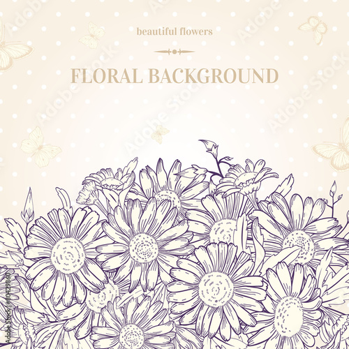 Background with chamomile and butterflies.