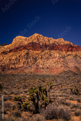 Canvas Print Mountains Of Red Rock Canyon Conservtion Area 4