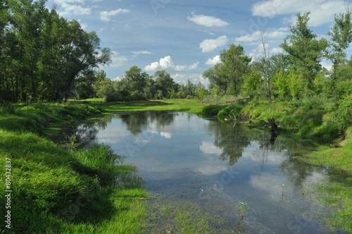 Wet meadow and riparian forest oxbow lake. Vistula Valley. Spring  freshness and juiciness