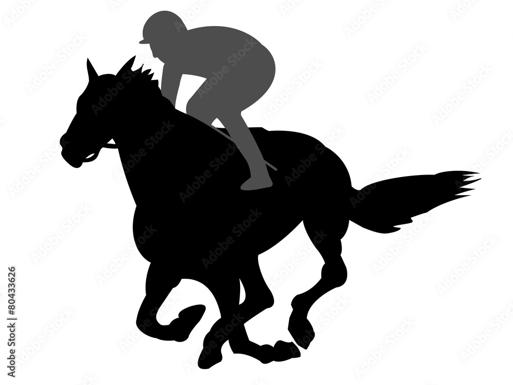 競馬 競馬