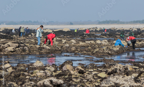Grande marée, pêche à pied