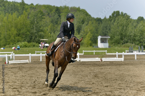 A horsewoman obstacle in preparation
