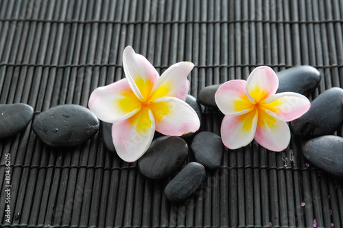 Two frangipani with black stones on mat