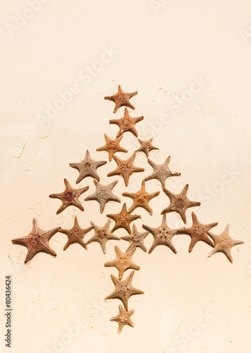 starfish christmas tree photo