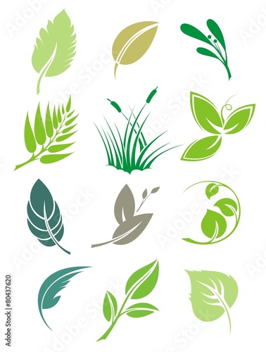 Set of green leaves design elements