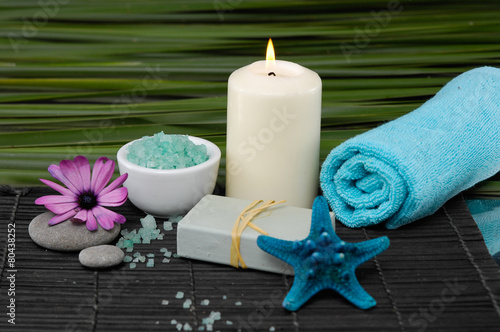 Spa set on mat with green plant