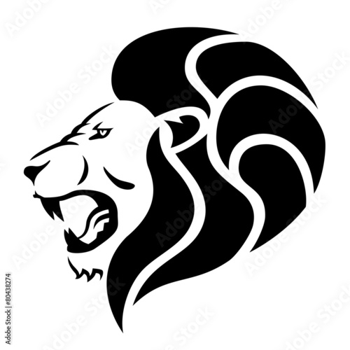 Fototapeta Naklejka Na Ścianę i Meble -  Roaring lion