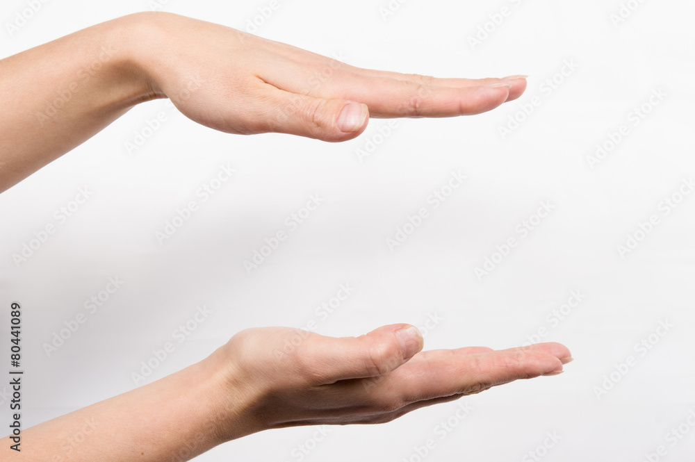 female hands holding something female hands holding something