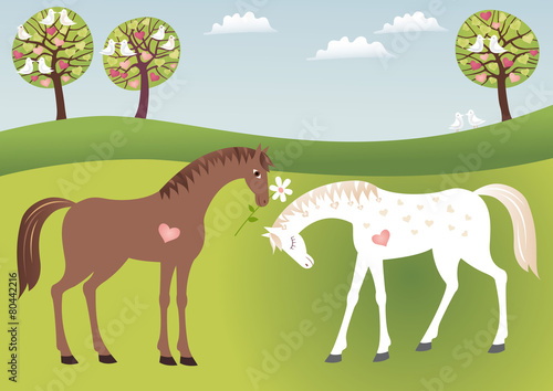 Horses in love