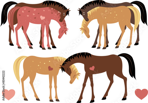 Horses in love