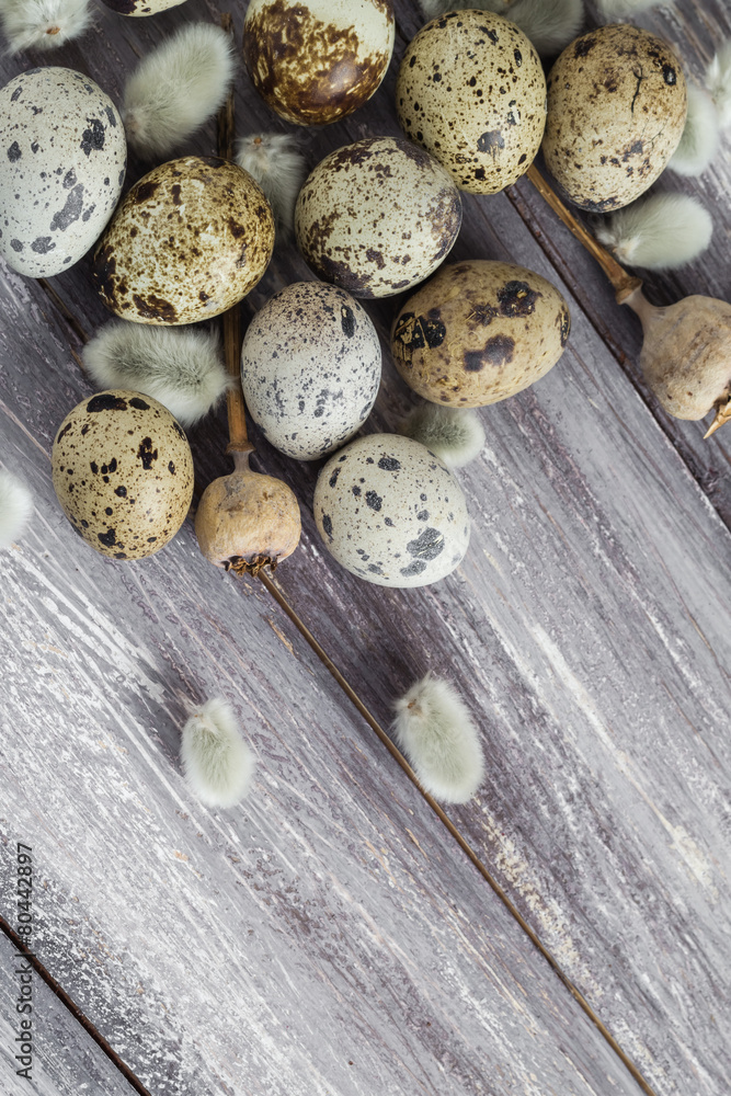 Easter background quail eggs catkins wooden table Easter background quail eggs catkins wooden table