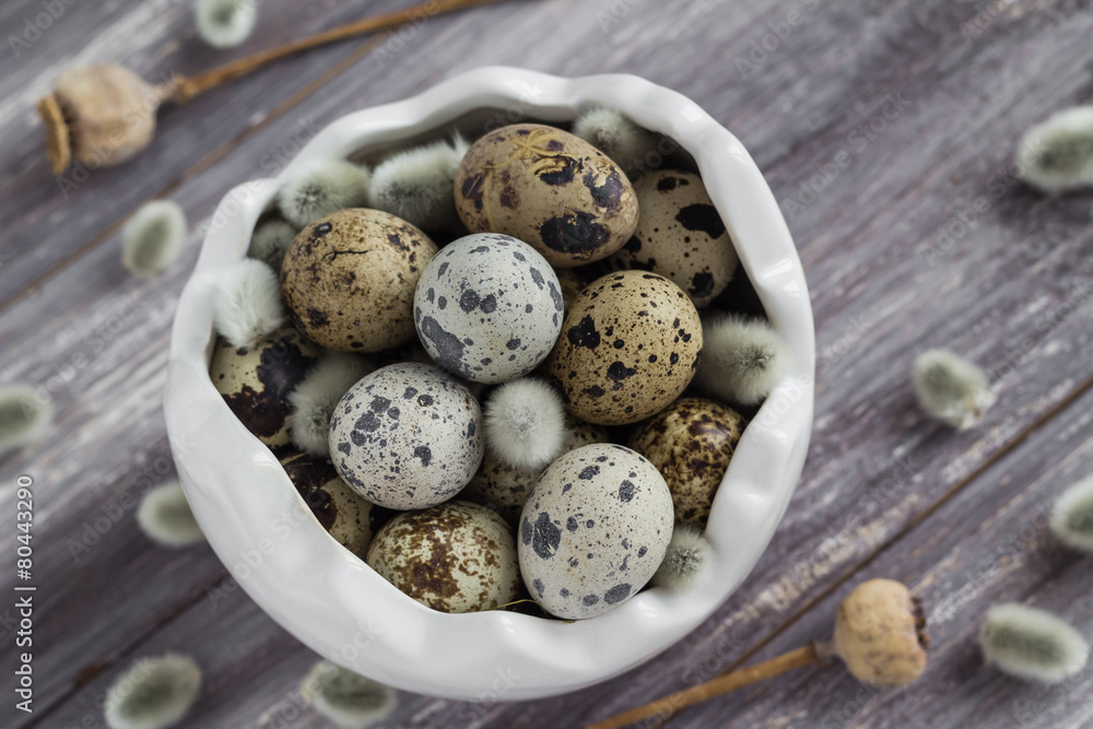 Small quail eggs wooden table dish scattered database Small quail eggs wooden table dish scattered database